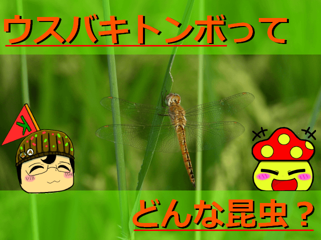 Thumbnail of post image 159